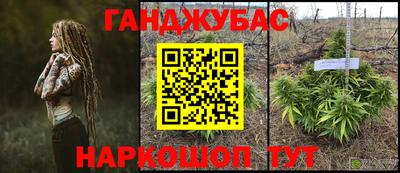 СК Кимры