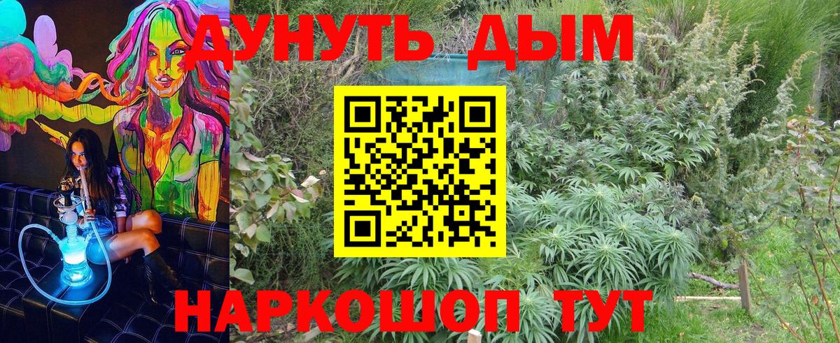 Бошки Шишки конопля Сызрань